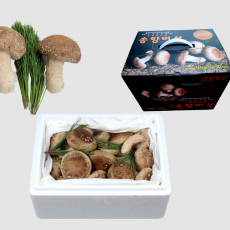[착한송이버섯]착한송이버섯 일품(선물용) 1kg  무농약 송향버섯