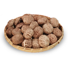 [행복표고농원] 생표고버섯 1kg