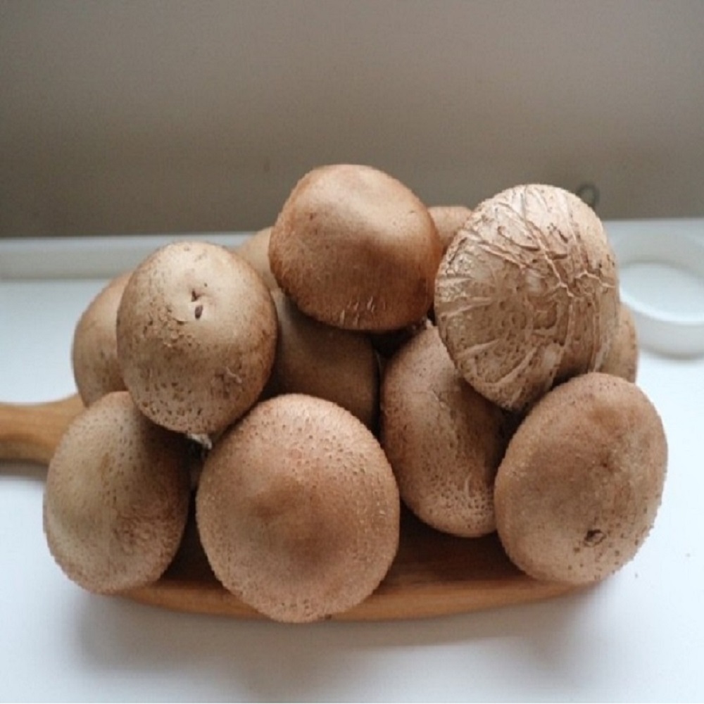 [건강한버섯농원]사릿골 친환경 표고버섯(특)1kg
