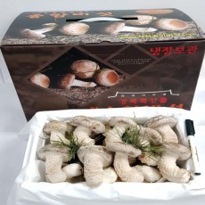 [착한송이버섯]착한송이 송향버섯 고급형(선물용)1kg 무농약