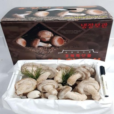 [착한송이버섯]착한송이 송향버섯 선물용일반형1kg 무농약100%