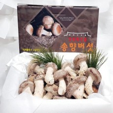 [착한송이버섯]착한송이송향버섯 선물용500g